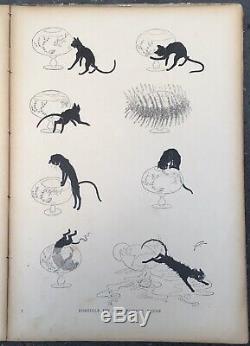 Album Cats Théophile-alexandre Steinlen Drawings Boards 26 1898