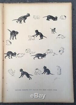 Album Cats Théophile-alexandre Steinlen Drawings Boards 26 1898