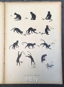 Album Cats Théophile-alexandre Steinlen Drawings Boards 26 1898