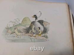 Album of Original Drawings 1853-1855 Bound in Leather 22 Plates