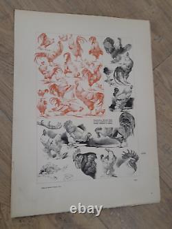 Alfred Fiedler -original Board 34/46-der Kunstschatz-1898-art-dessin