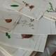 Collection Of 35+ Plates Of Original Botanical Watercolor Drawings &ndash; Plants And Trees