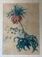 Georges Deyrieux Botanical Plate Fritillaria Imperialis Gouache Circa 1850 Sup