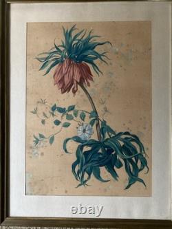 Georges Deyrieux Botanical Plate Fritillaria Imperialis gouache circa 1850 SUP
