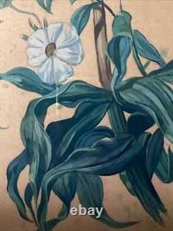 Georges Deyrieux Botanical Plate Fritillaria Imperialis gouache circa 1850 SUP