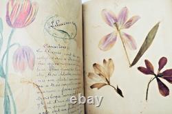 Herbarium: 14 plates & 17 plates of original drawings