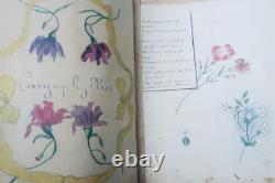 Herbarium: 14 plates & 17 plates of original drawings