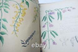Herbarium: 14 plates & 17 plates of original drawings