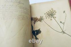 Herbarium: 14 plates & 17 plates of original drawings