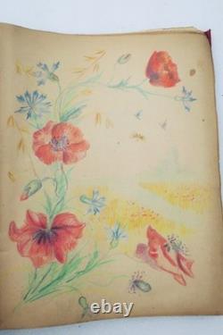 Herbarium: 14 plates & 17 plates of original drawings