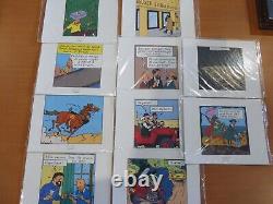Large Lot Extract Strip Board 2011 Tintin Collector To Collect