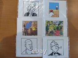 Large Lot Extract Strip Board 2011 Tintin Collector To Collect