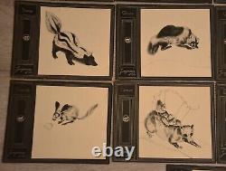 Lot of fur animal boards JUNGMANN AND CO Ray BRET KOCH