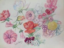 Old Board of Original Drawings Botanical Flower Studies Signed (1)