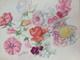 Old Board Of Original Drawings Botanical Flower Studies Signed (1)