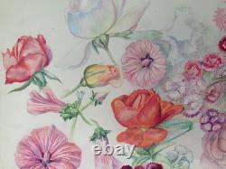 Old Board of Original Drawings Botanical Flower Studies Signed (1)