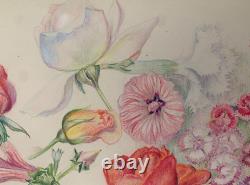 Old Board of Original Drawings Botanical Flower Studies Signed (1)