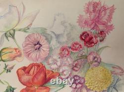 Old Board of Original Drawings Botanical Flower Studies Signed (1)