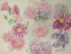 Old Board of Original Drawings Botanical Flower Studies Signed (11)