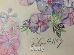 Old Board of Original Drawings Botanical Flower Studies Signed (11)