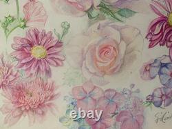 Old Board of Original Drawings Botanical Flower Studies Signed (11)