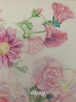 Old Board of Original Drawings Botanical Flower Studies Signed (11)