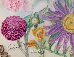 Old Board of Original Drawings Botanical Flower Studies Signed (12)