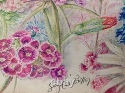 Old Board of Original Drawings Botanical Flower Studies Signed (14)