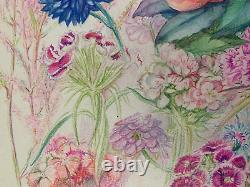 Old Board of Original Drawings Botanical Flower Studies Signed (14)