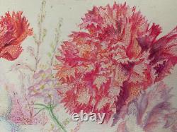 Old Board of Original Drawings Botanical Flower Studies Signed (14)