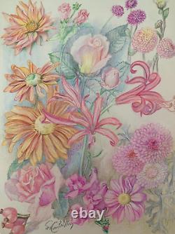 Old Board of Original Drawings Botanical Flower Studies Signed (15)