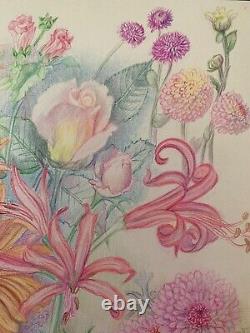 Old Board of Original Drawings Botanical Flower Studies Signed (15)