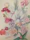 Old Board Of Original Drawings, Botanical Flower Studies, Signed (17)