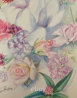 Old Board of Original Drawings Botanical Flower Studies Signed (17)