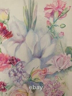 Old Board of Original Drawings Botanical Flower Studies Signed (17)