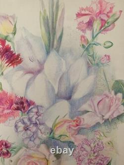 Old Board of Original Drawings, Botanical Flower Studies, Signed (17)