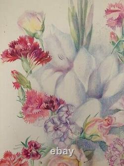 Old Board of Original Drawings Botanical Flower Studies Signed (17)