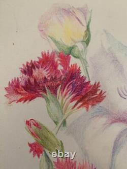 Old Board of Original Drawings, Botanical Flower Studies, Signed (17)