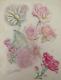 Old Board Of Original Drawings Botanical Flower Studies Signed (18)