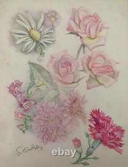 Old Board of Original Drawings Botanical Flower Studies Signed (18)