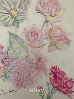 Old Board of Original Drawings Botanical Flower Studies Signed (18)