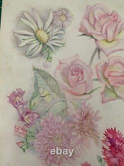 Old Board of Original Drawings Botanical Flower Studies Signed (18)