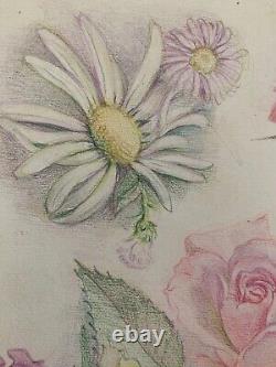 Old Board of Original Drawings Botanical Flower Studies Signed (18)