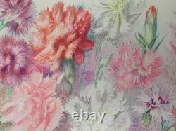 Old Board of Original Drawings Botanical Flower Studies Signed (2)