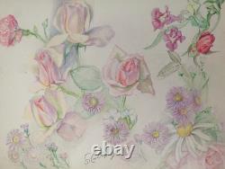 Old Board of Original Drawings, Botanical Flower Studies, Signed (4)