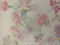 Old Board of Original Drawings Botanical Flower Studies Signed (4)