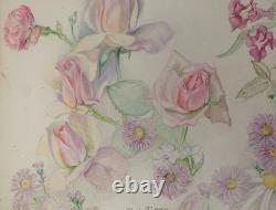 Old Board of Original Drawings, Botanical Flower Studies, Signed (4)
