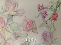 Old Board of Original Drawings Botanical Flower Studies Signed (4)