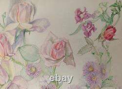 Old Board of Original Drawings, Botanical Flower Studies, Signed (4)