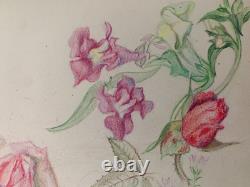 Old Board of Original Drawings, Botanical Flower Studies, Signed (4)